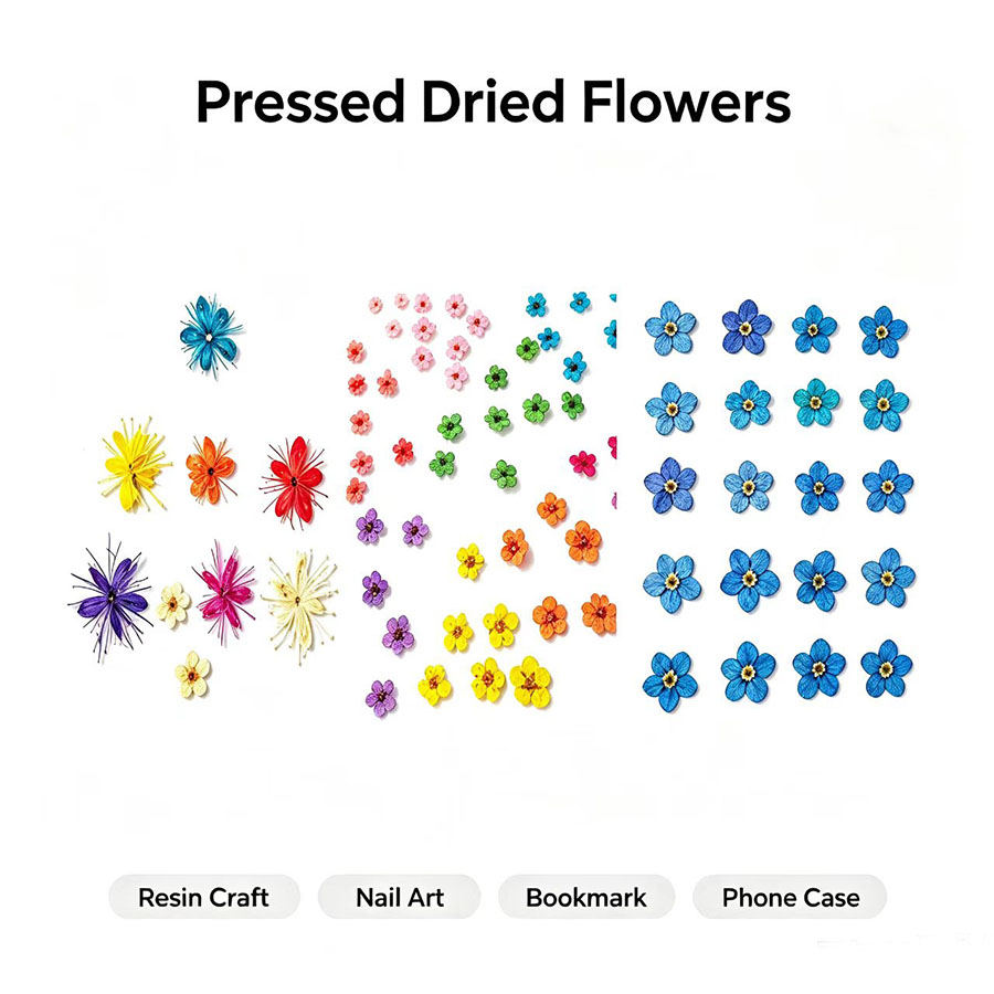 60 unidades de flores secas em - Resin Art Case avaliação e preço