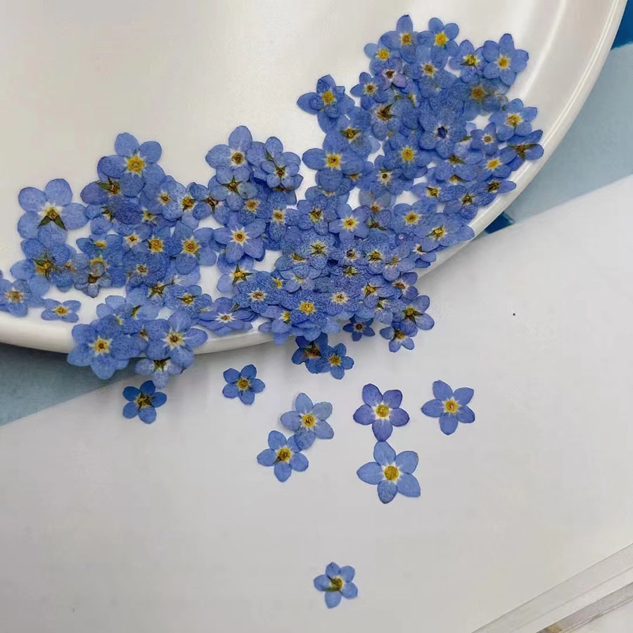 60 unidades de flores secas em - Resin Art Case avaliação e preço