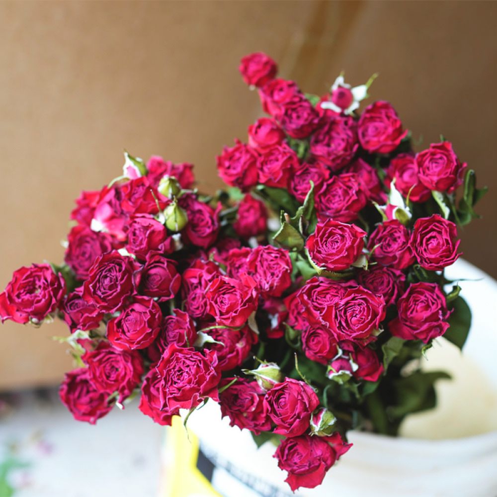 Ramo de rosas naturais, preser - Resin Art Rose avaliação e preço