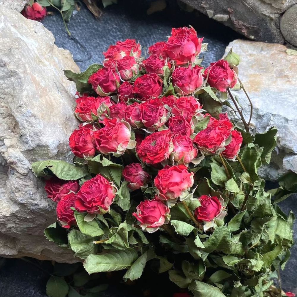 Ramo de rosas naturais, preser - Resin Art Rose avaliação e preço