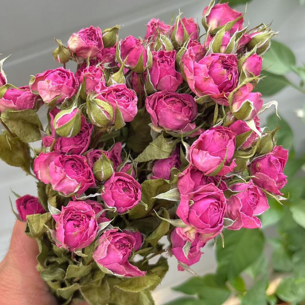 Ramo de rosas naturais, preser - Resin Art Rose avaliação e preço